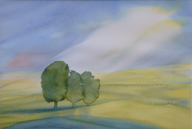 Where there were no trees befor