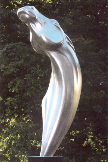 Jagna Weber - Pferdekopf